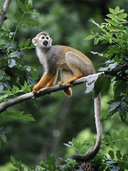 Why choose us 9